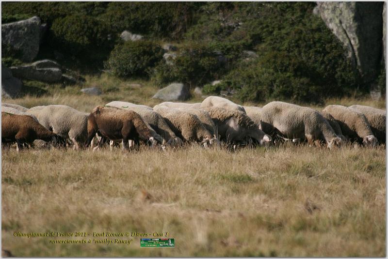 IMG_7156w.jpg