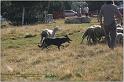 IMG_7048w