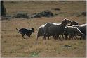 IMG_7101w