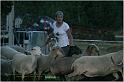 IMG_9814w