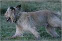 IMG_9828w