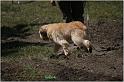IMG_7860_2w