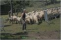 IMG_7864_2w
