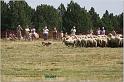 IMG_7879w