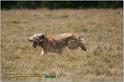 IMG_7924w