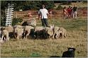 IMG_9707w