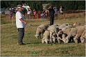 IMG_9721w