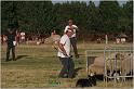 IMG_9744w
