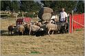 IMG_9754w