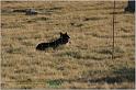 IMG_9756w