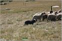 IMG_9154w