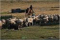 IMG_8504w