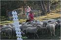 IMG_9763w