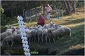 IMG_9765w