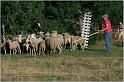 IMG_9771w