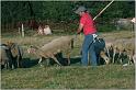 IMG_9781w