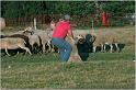 IMG_9783w