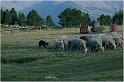 IMG_9784w