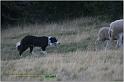 IMG_9802w