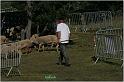 IMG_7183w