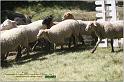 IMG_8991w