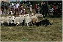IMG_9006w