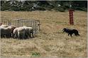 IMG_9028w