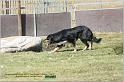 IMG_9052w