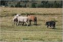 IMG_9053w