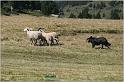 IMG_9054w