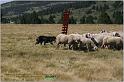 IMG_9060w