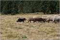 IMG_9061w