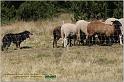 IMG_9063w