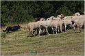 IMG_9065w