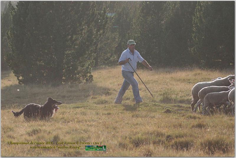 IMG_8449w.jpg