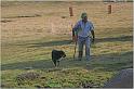 IMG_8391w