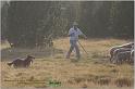 IMG_8449w