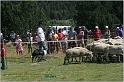 IMG_9078w