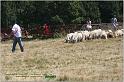 IMG_9082w
