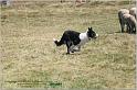 IMG_9083w