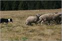 IMG_9138w