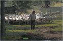 IMG_8337w
