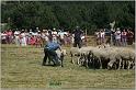 IMG_9357w