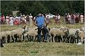 IMG_9361w