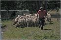 IMG_9168w