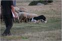 IMG_8585w