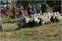 IMG_8855w