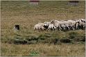 IMG_8905w
