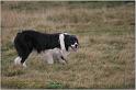 IMG_8239w