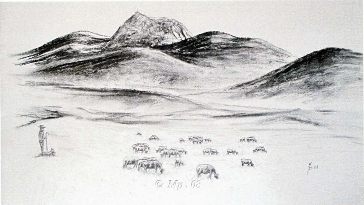 MP_Auvergne08_1w